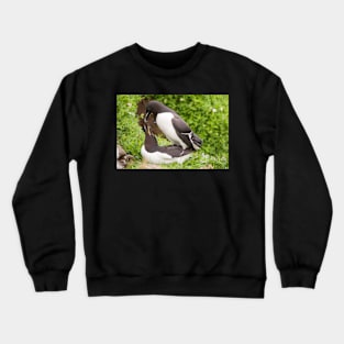 Mr & Mrs Razorbill sharing a private moment Crewneck Sweatshirt